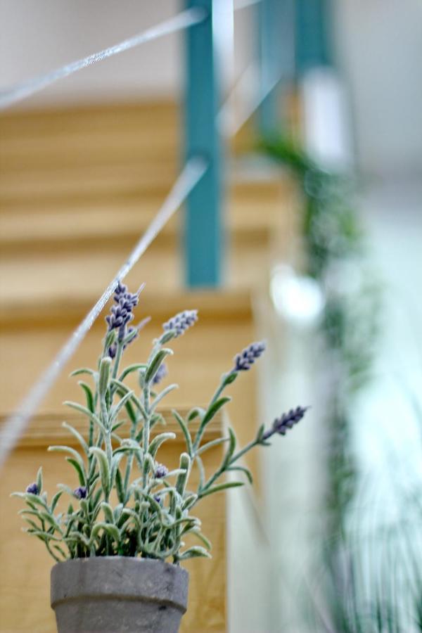 Lovely&Modern Downtown Apartment With Free Parking ブダペスト エクステリア 写真